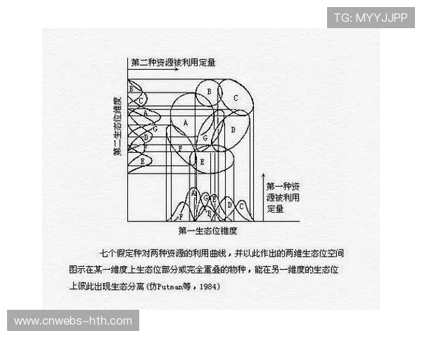 生态位竞争推动平台差异化发展